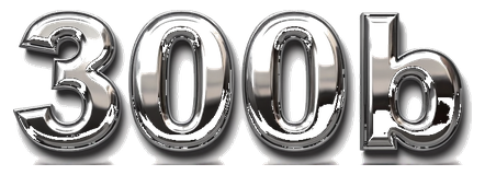 300b logo